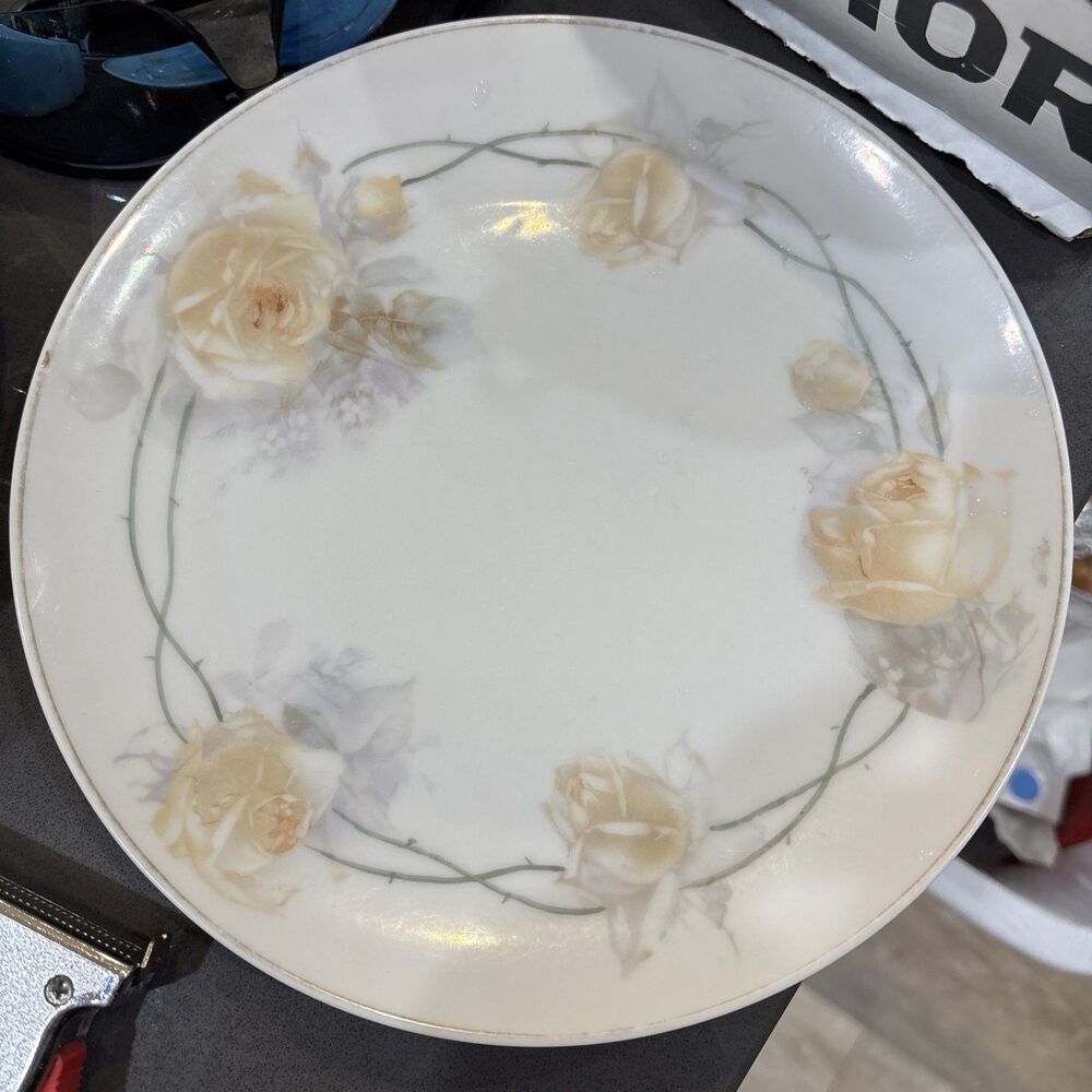 Vintage Bavaria Yellow Roses 8.375” Dinner Plate Bavaria Germany Z.S.